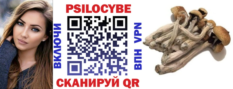 Галлюциногенные грибы мицелий  закладка  Калининец 